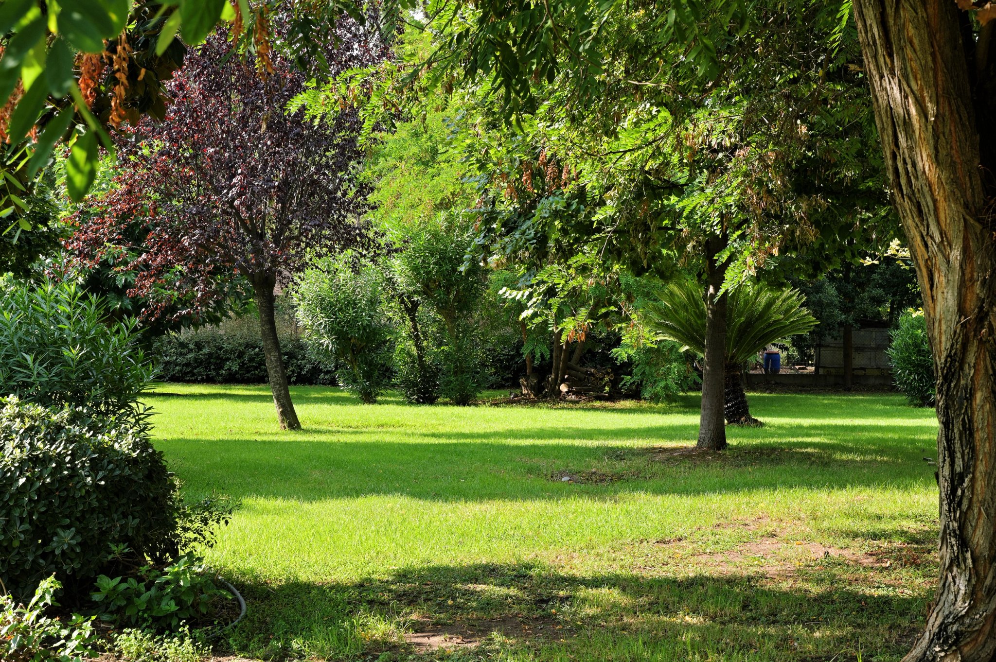 Jardin de l’hôtel 3 étoiles à Lucciana